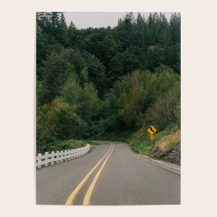 Forest Drive VI Poster Gallery Image 1