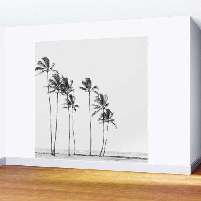 Hawaii Palm Trees - Black and White Photography Wall Mural Gallery Image 2