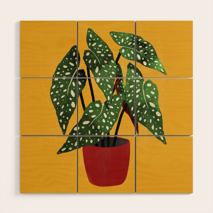 Begonia maculata pot watercolor Wood Wall Art Gallery Image 1