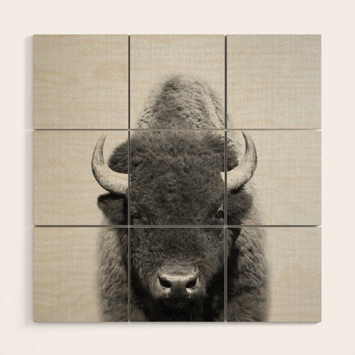 Buffalo - Black & White Wood Wall Art Gallery Image 1