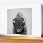 Buffalo - Black & White Wall Mural Gallery Image 2