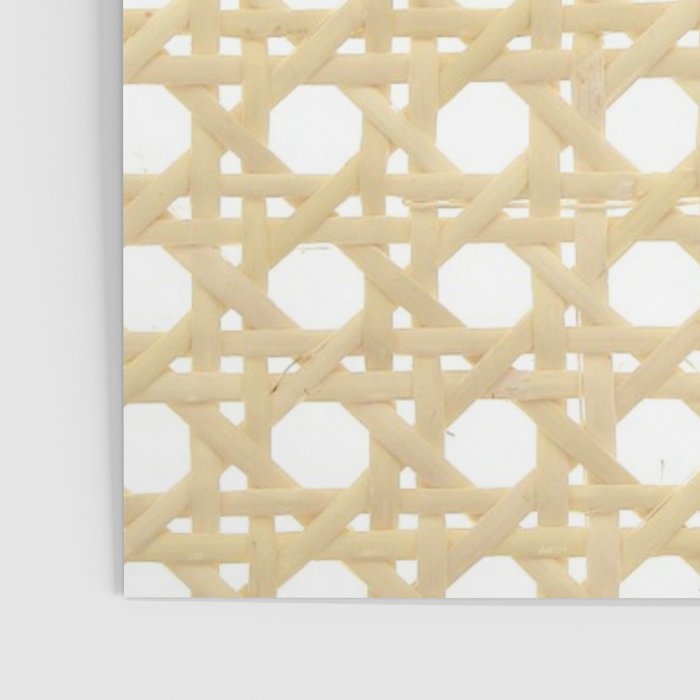 Cane Webbing Poster Gallery Image 3