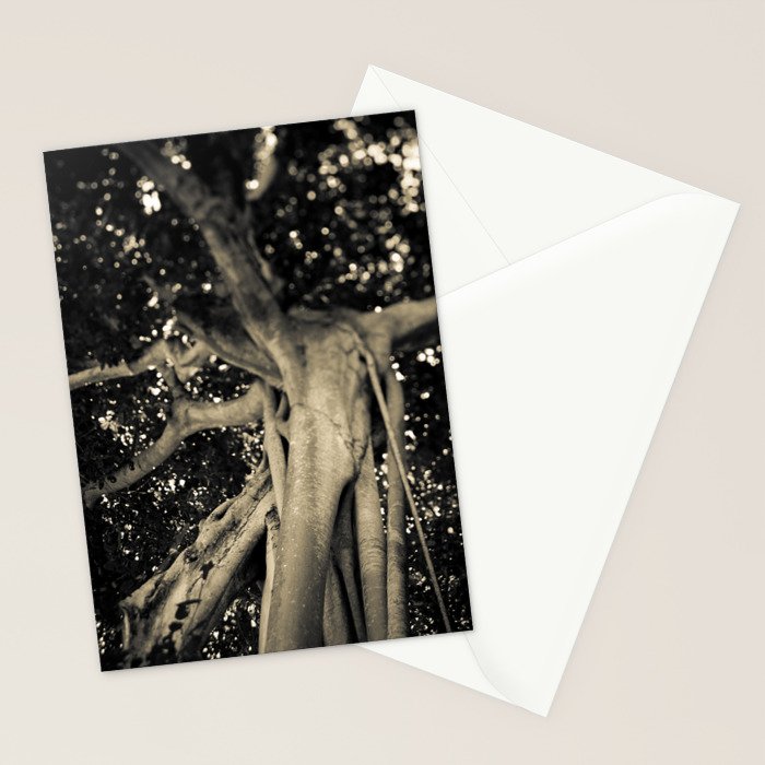 Banyan Tree II - Black and White Stationery Card Gallery Image 2