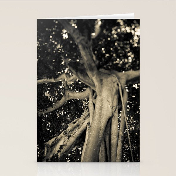 Banyan Tree II - Black and White Stationery Card Gallery Image 1