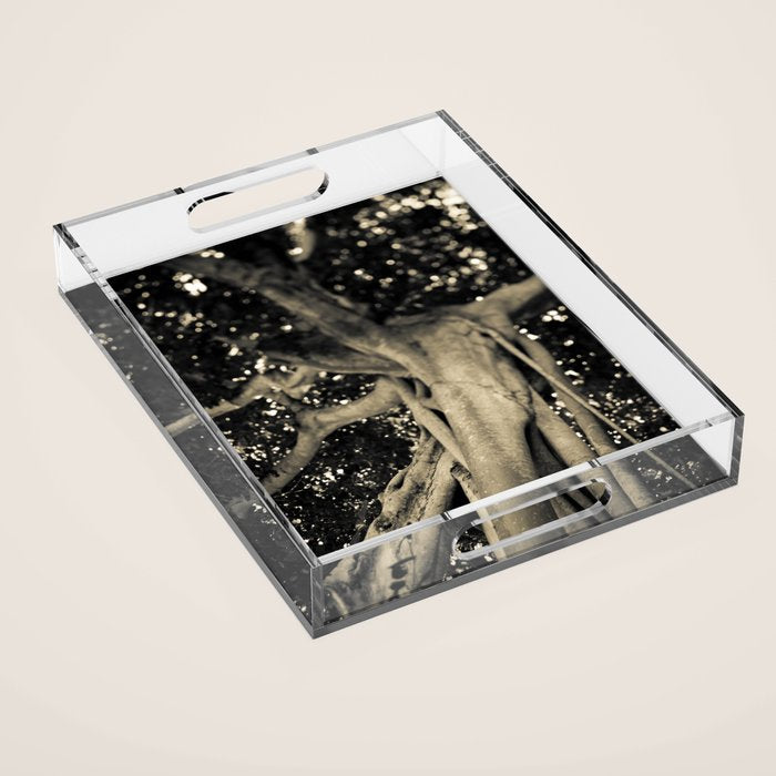 Banyan Tree II - Black and White Acrylic Tray Gallery Image 1
