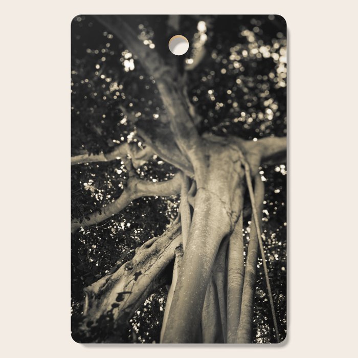 Banyan Tree II - Black and White Cutting Board Gallery Image 1