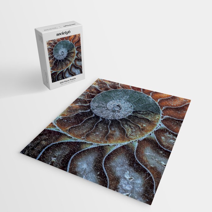 Spiral Ammonite Fossil Jigsaw Puzzle Gallery Image 2