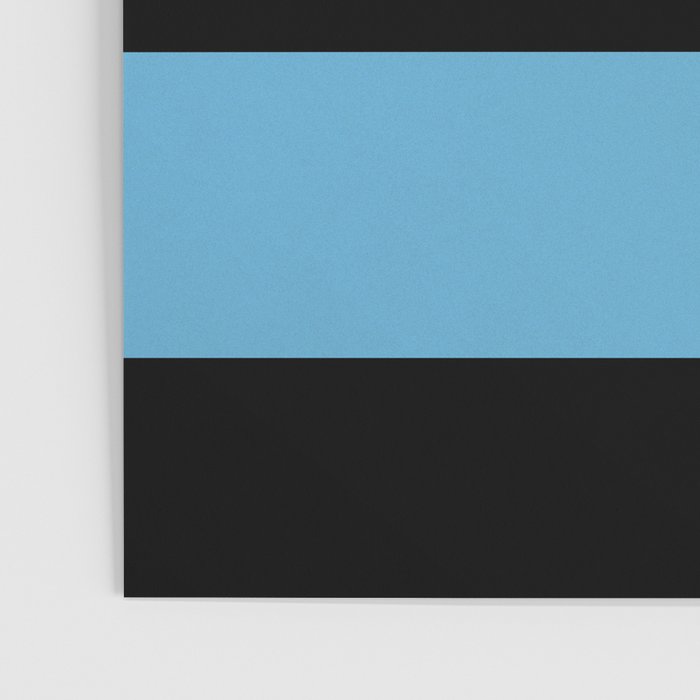 Black Chicago Flag Poster Gallery Image 3
