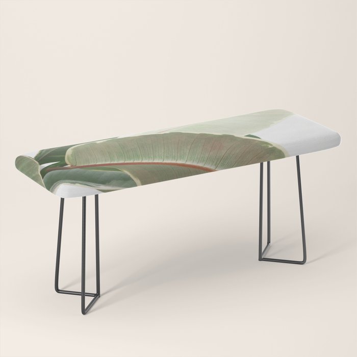 Ficus Teneke Bench Gallery Image 1