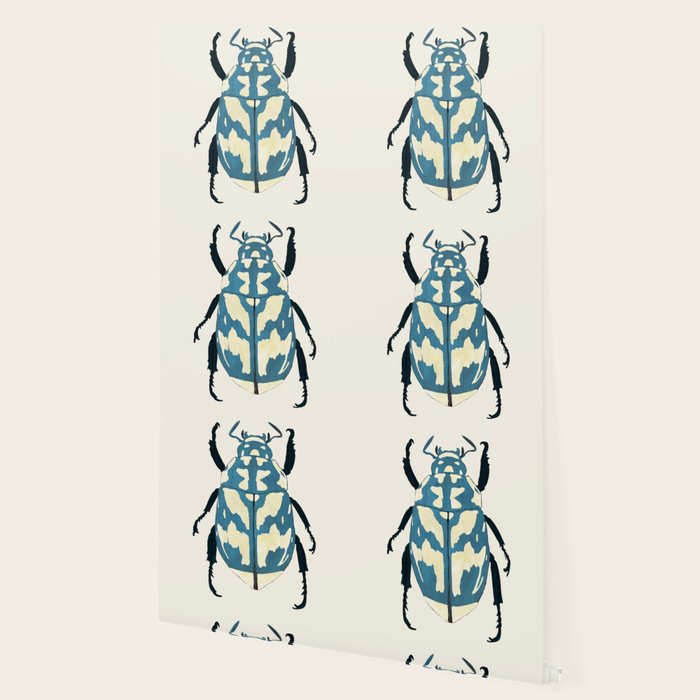 Blue beetle insect Wallpaper Gallery Image 2