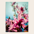 Silver Lining Poster Gallery Image 4