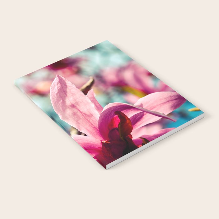 Silver Lining Notebook Gallery Image 2