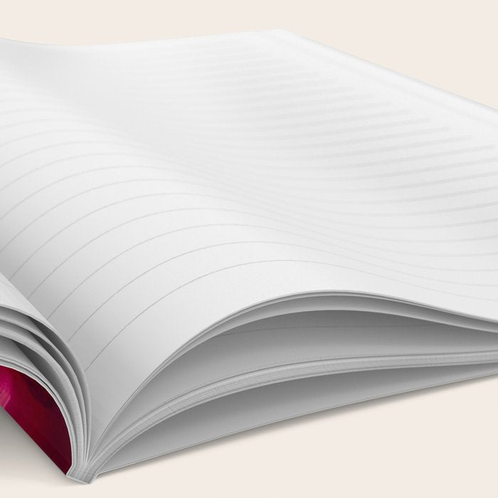 Silver Lining Notebook Gallery Image 2