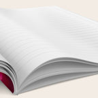 Silver Lining Notebook Gallery Image 2