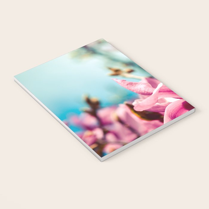 Silver Lining Notebook Gallery Image 3