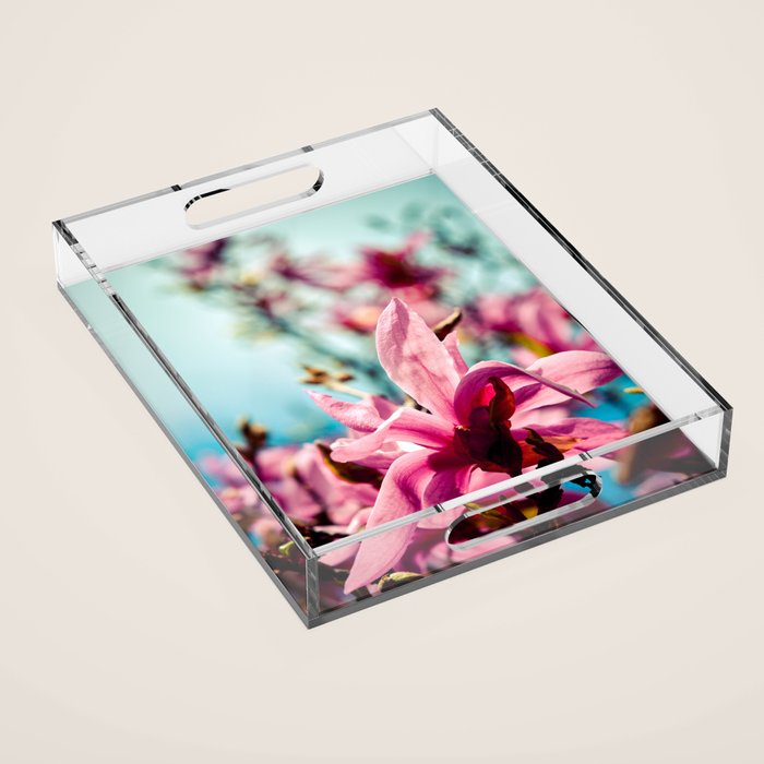 Silver Lining Acrylic Tray Gallery Image 1
