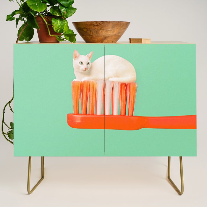 Toothpaste Cat Credenza Gallery Image 1