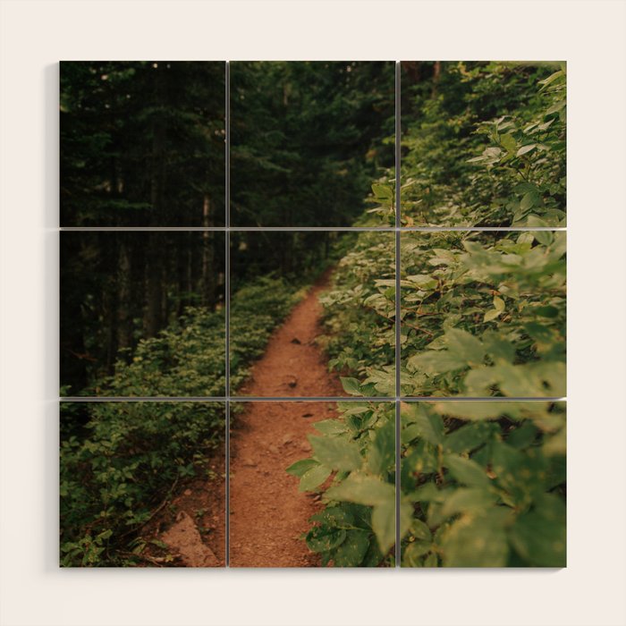 Through the Green Wood Wall Art Gallery Image 1