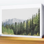 Treeline - Nature and Landscape Photography Wall Mural Gallery Image 2