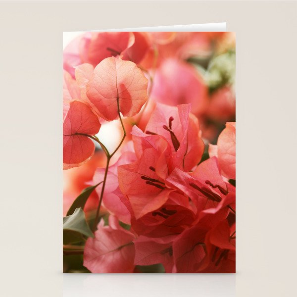 Bright Morning #8 Stationery Card Gallery Image 2