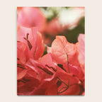 Bright Morning #8 Notebook Gallery Image 4
