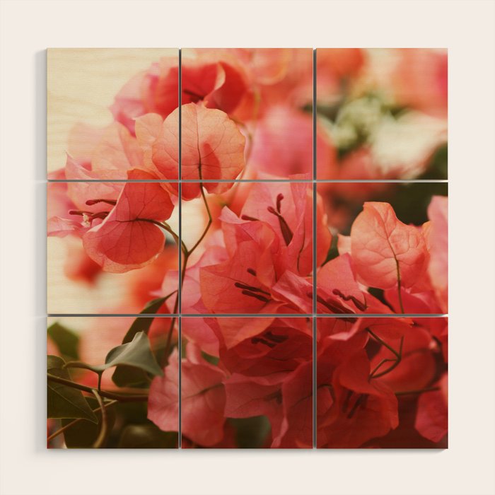 Bright Morning #8 Wood Wall Art Gallery Image 1