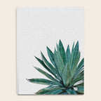 Agave Cactus Notebook Gallery Image 4