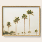 Boulevard Palm Trees Serving Tray Gallery Image 1