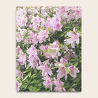 Uptown Azaleas x New Orleans Photography Notebook Gallery Image 4