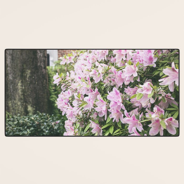 Uptown Azaleas x New Orleans Photography Desk Mat Gallery Image 3