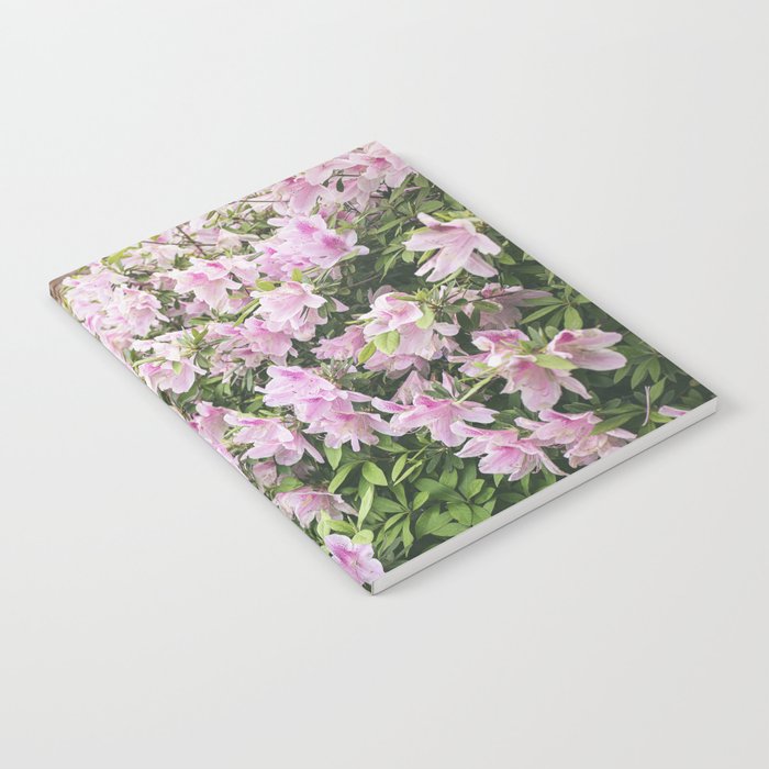 Uptown Azaleas x New Orleans Photography Notebook Gallery Image 2