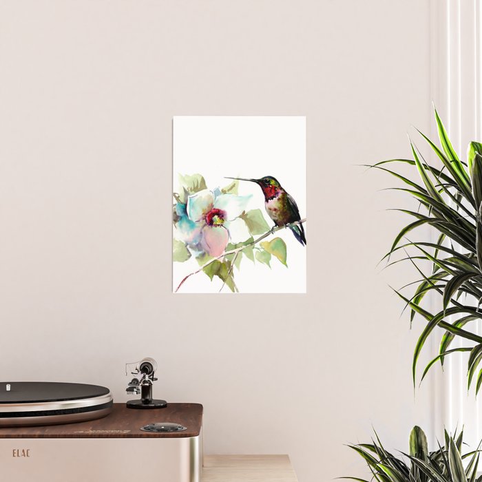Hummingbird and White Magnolia Poster Gallery Image 2