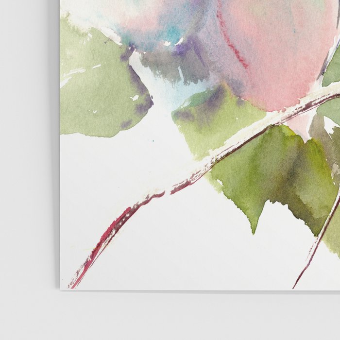 Hummingbird and White Magnolia Poster Gallery Image 3