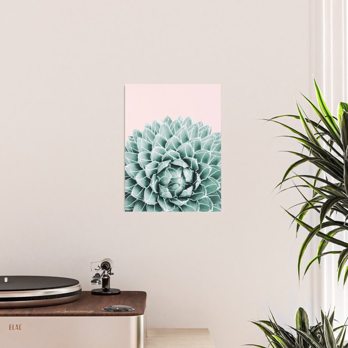 Succulent splendour - blush Poster Gallery Image 2