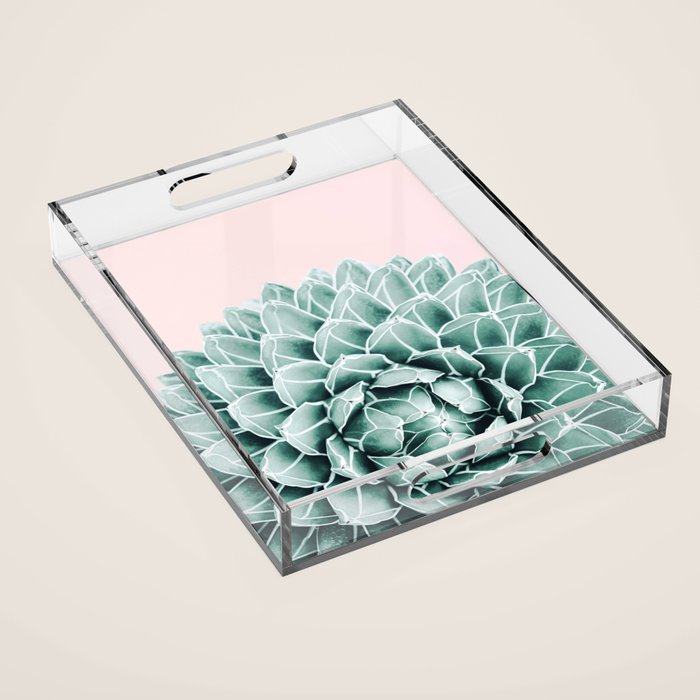 Succulent splendour - blush Acrylic Tray Gallery Image 1