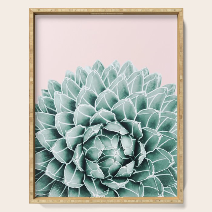 Succulent splendour - blush Serving Tray Gallery Image 1
