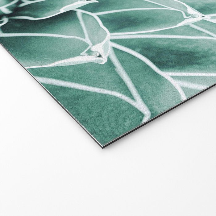 Succulent splendour - blush Welcome Mat Gallery Image 2