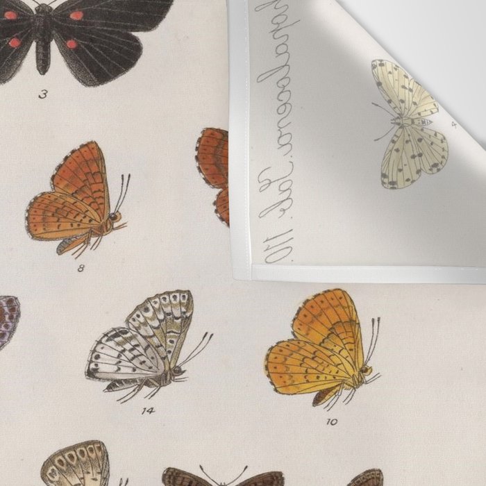 Vintage Scientific Insect Butterfly Moth Biological Hand Drawn Species Art Illustration Wall Tapestry Gallery Image 3