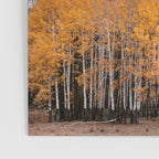 Fall Layers - Mountain Landscape Photography Poster Gallery Image 3