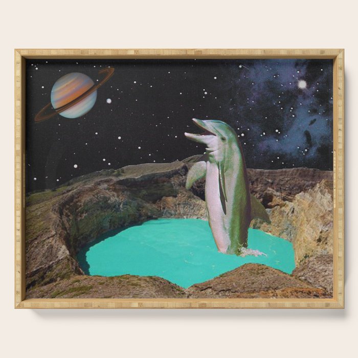 Planet Dolphin Serving Tray Gallery Image 1