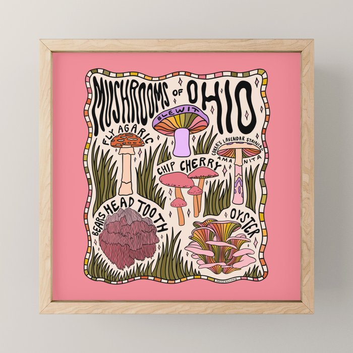 Mushrooms of Ohio Mini Art Print Gallery Image 1