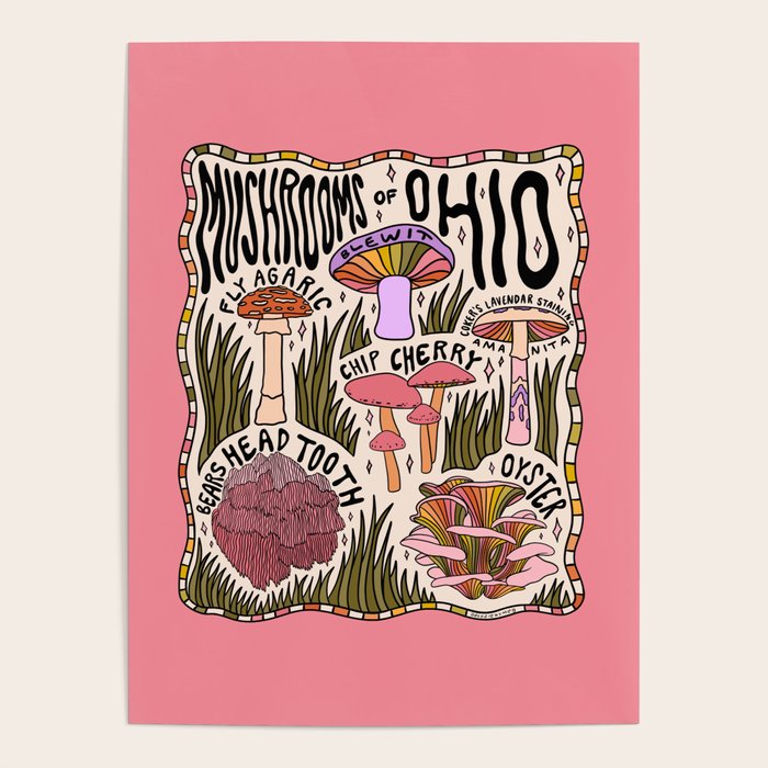 Mushrooms of Ohio Poster Gallery Image 4