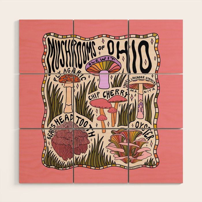 Mushrooms of Ohio Wood Wall Art Gallery Image 1
