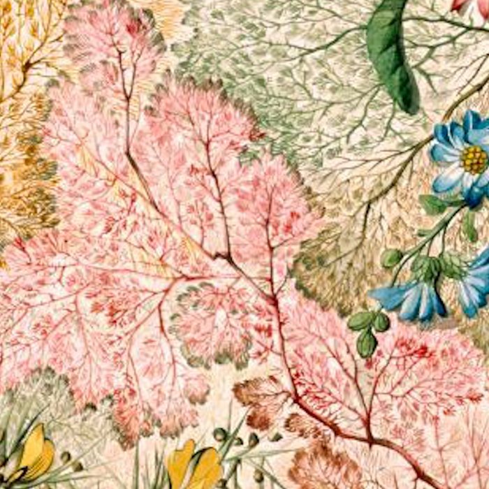 Romantic Marble End Paper Floral 1788 William Kilburn Coffee Mug Gallery Image 2