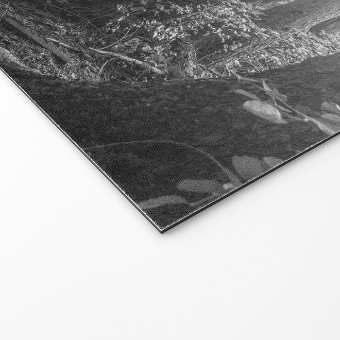 Adventure Nature Path Black and White Welcome Mat Gallery Image 2