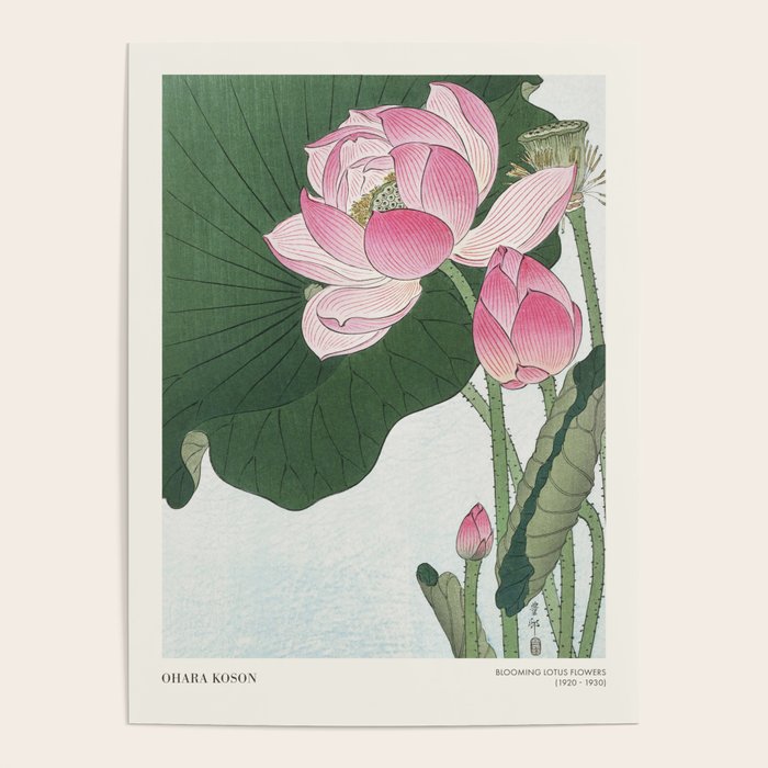 Lotus Flower Water Lily Ohara Koson Vintage Asian Botanical Art Pastel Pink Japanese Japandi Decor Poster Gallery Image 2
