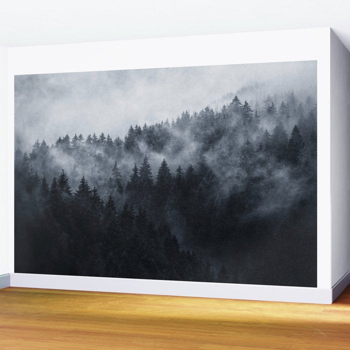 Excuse Me, Im Lost Wall Mural Gallery Image 2