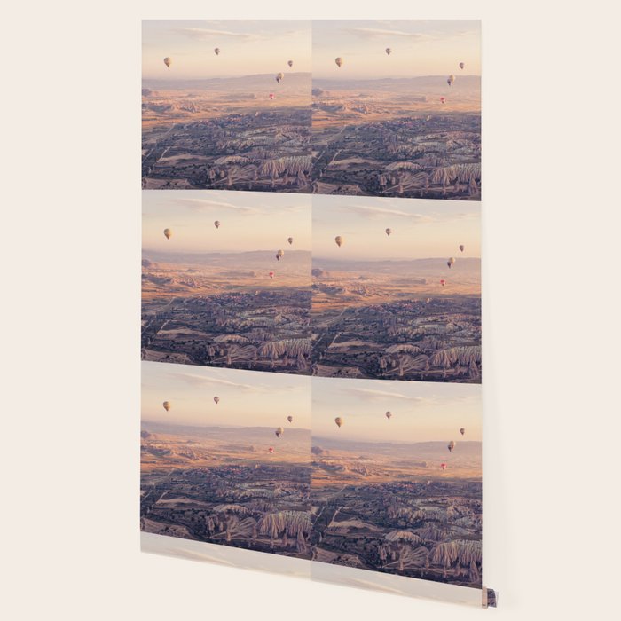 Sunrise Hot Air Balloon Flight Wallpaper Gallery Image 2