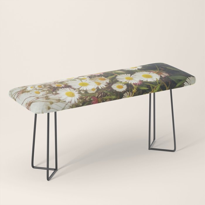 Wall of Daisies Bench Gallery Image 1