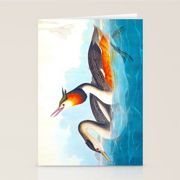 Great Crested Grebe Bird Stationery Card Gallery Image 2